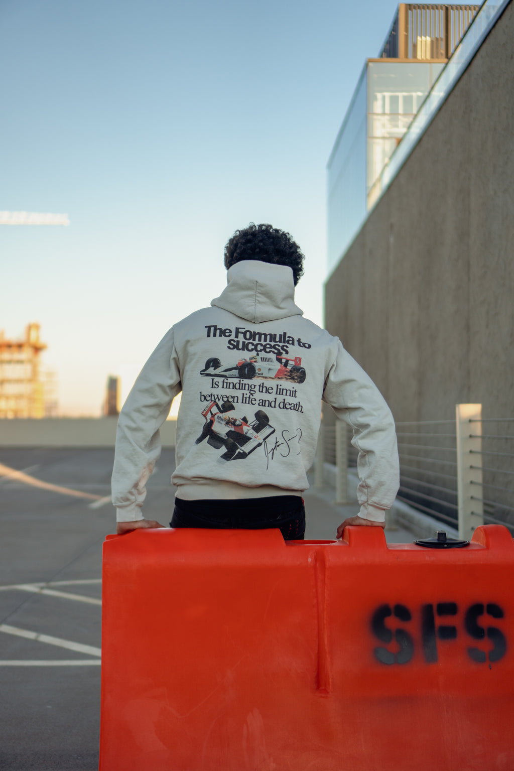 Formula To Success Hoodie