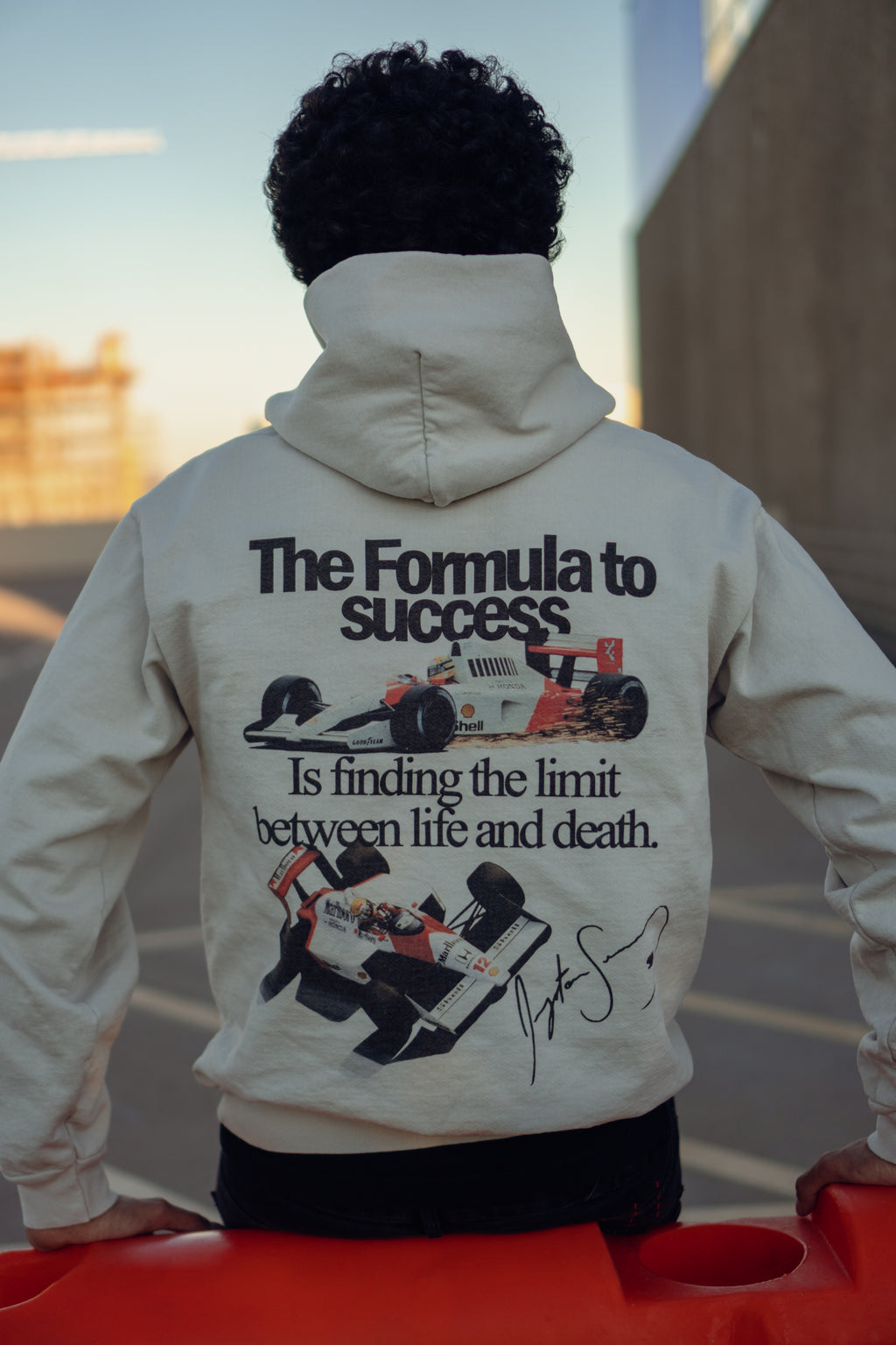 Formula To Success Hoodie